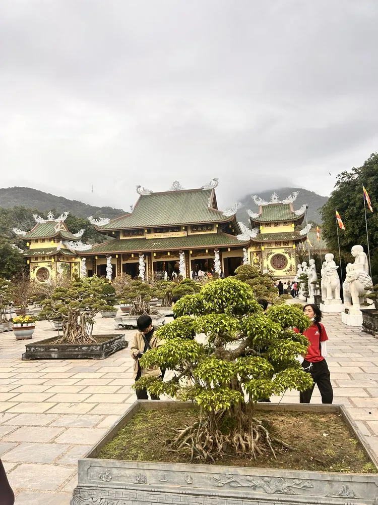 本堂前に並ぶ盆栽の庭園